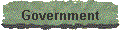 Government