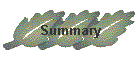 Summary